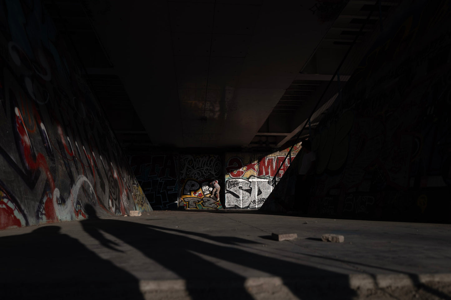 Night Skate