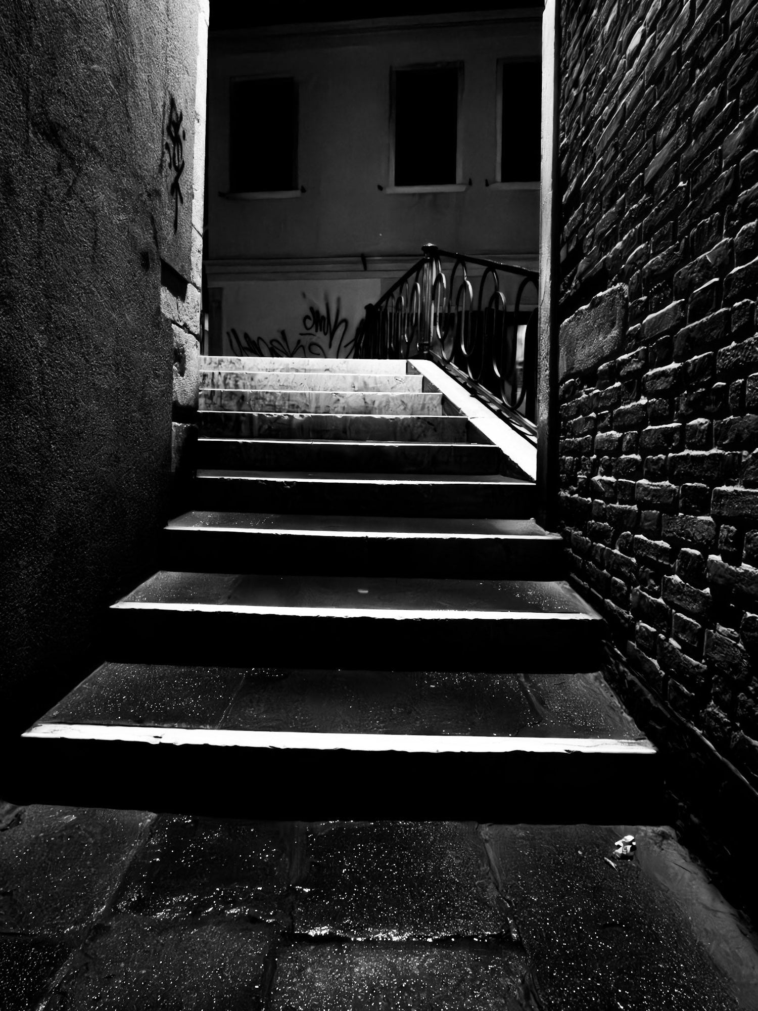 Darks and Lights