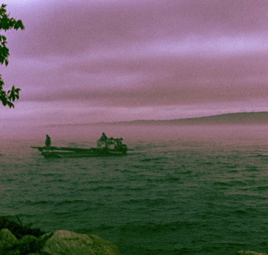Fishing Under a Purple Sky