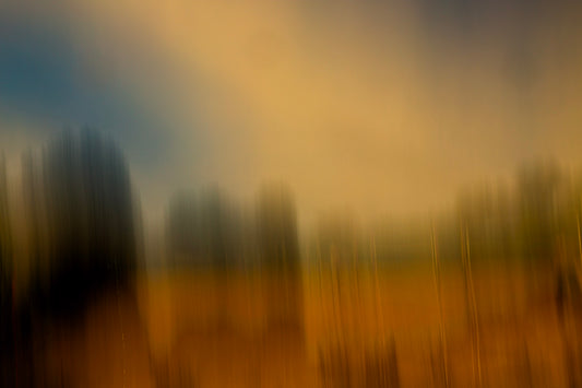 On the Dunes