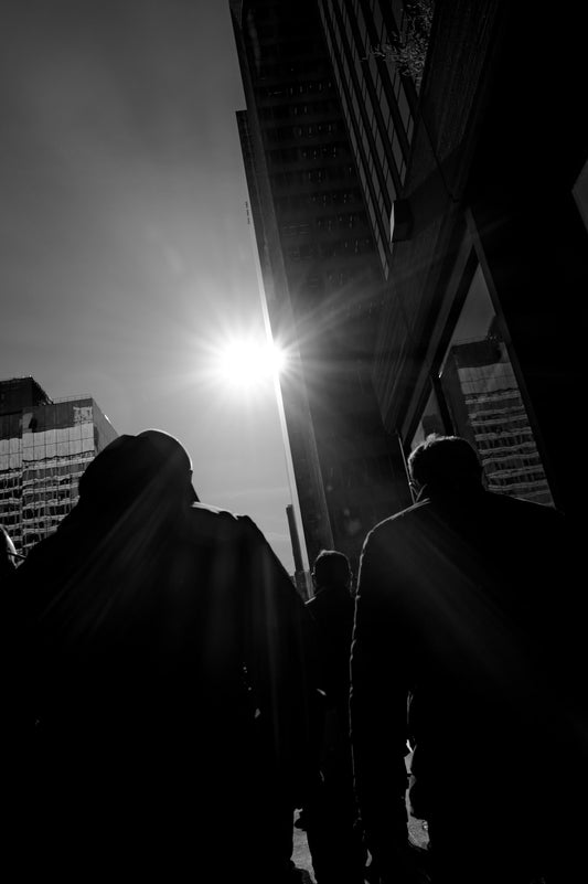 Under the New York Sun