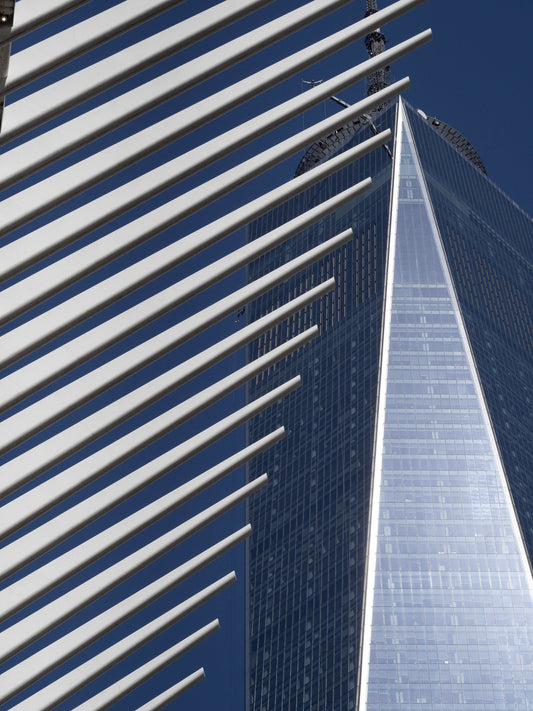 Lines in the Sky